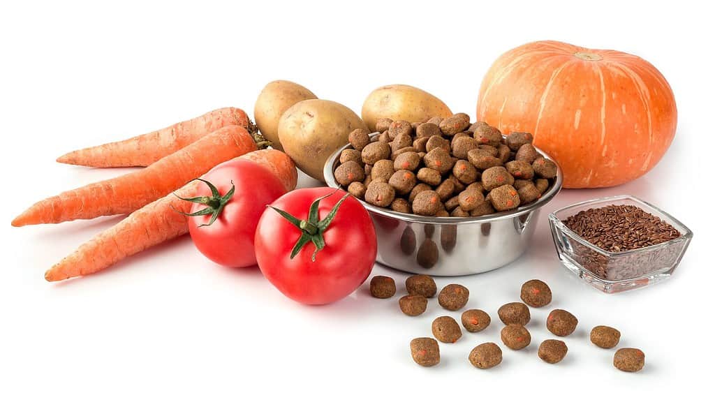 High-quality dog food ingredients including carrots, potatoes, tomatoes, pumpkin, and kibble for healthy pets.