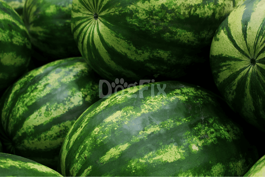 Fresh green watermelons with striped patterns, perfect for healthy fruit snacks.