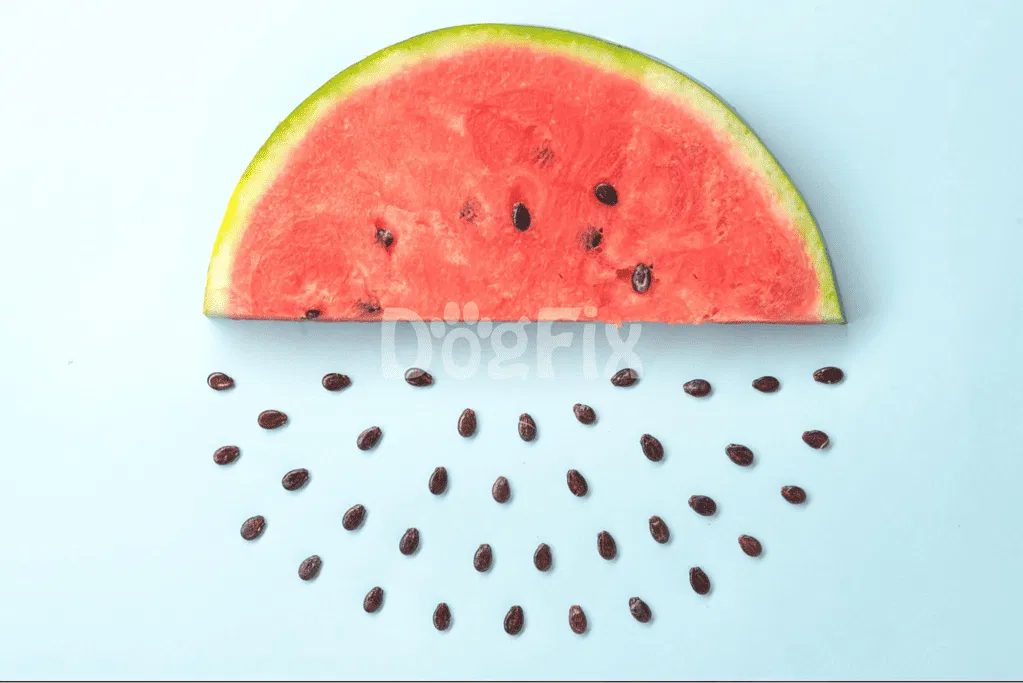 Vibrant watermelon slice with black seeds on pastel blue surface, fresh and juicy.