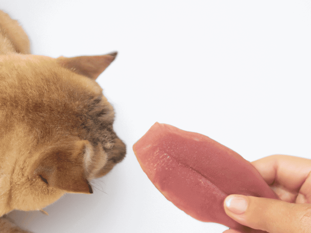 Dog-friendly, healthy dog treats for optimal pet nutrition.