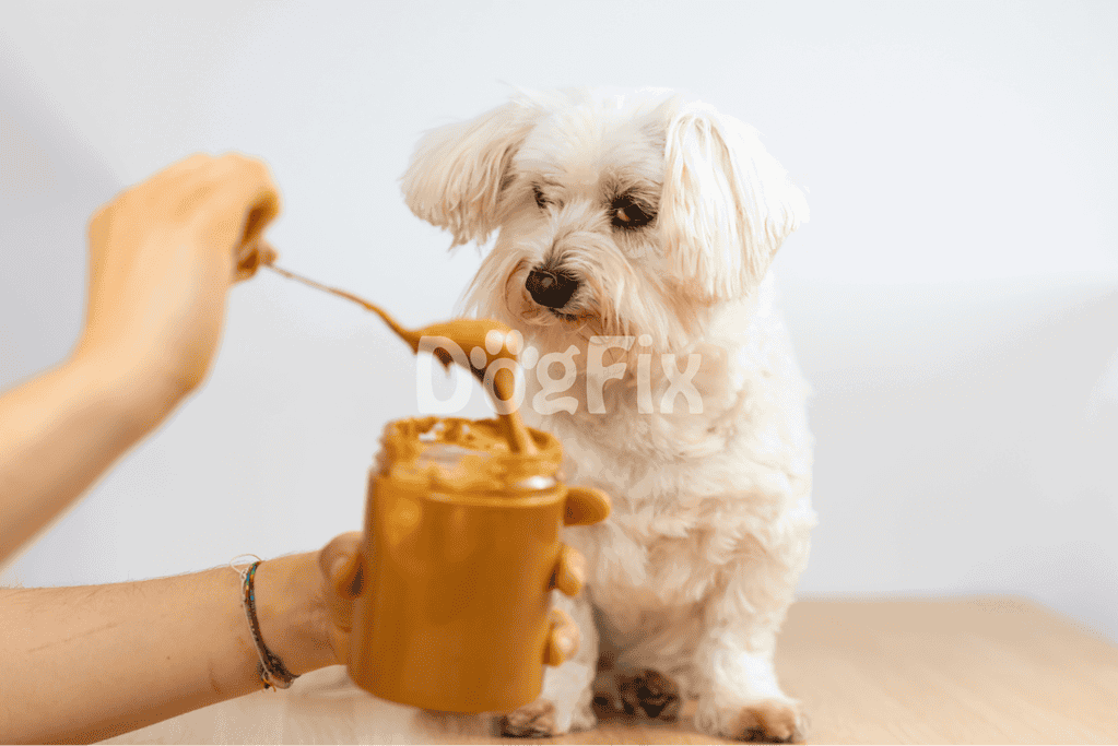 Cute dog receiving peanut butter treat from a spoon for training or snacking.