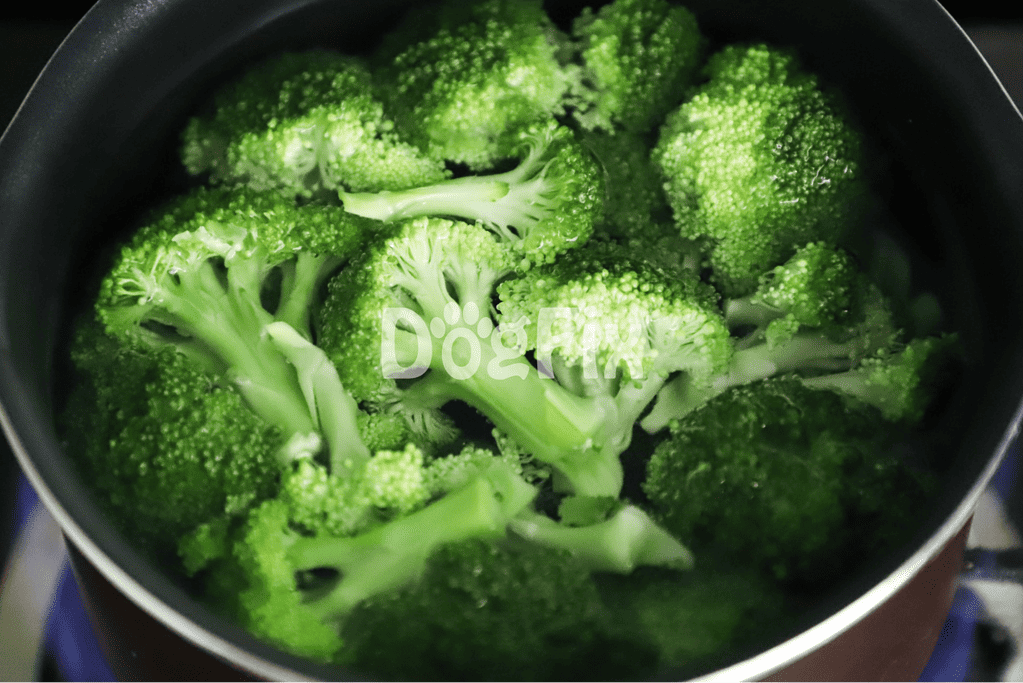 Vibrant broccoli in frying pan, perfect for nutritious homemade dog food meals.