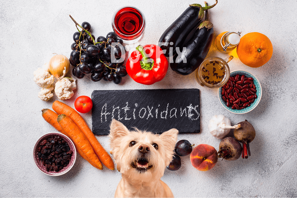 Vibrant fresh fruits and vegetables for dog health.