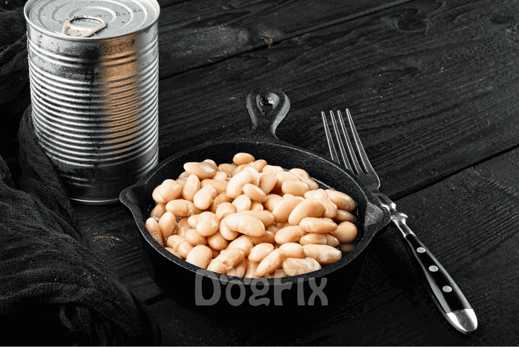 Dogfix.com: Healthy canned beans served with a fork, emphasizing pet-friendly food options and nutrition.