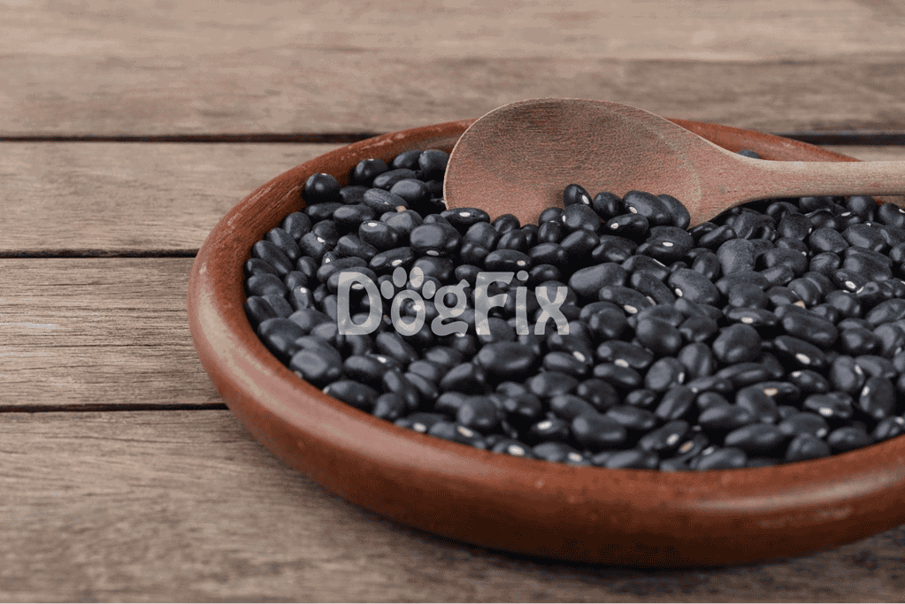 Black beans in wooden bowl with spoon, ideal nutritious meal for dogs.