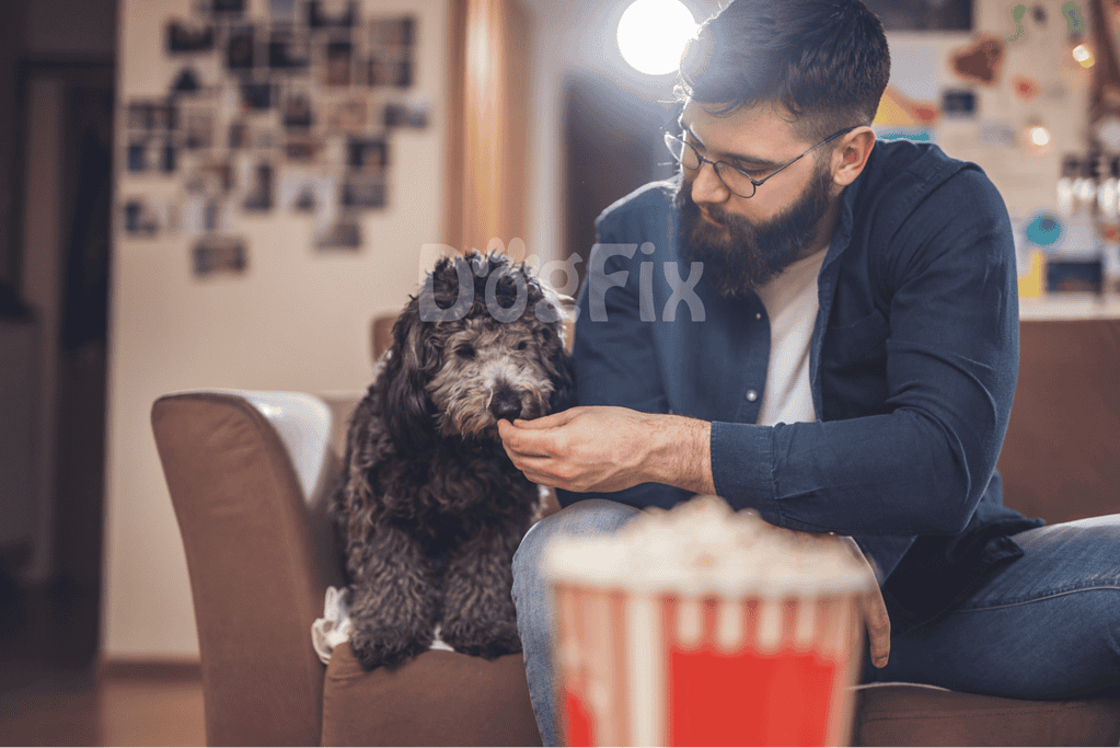 Dog cuddling with owner on couch, getting treats, indoor pet care scene.