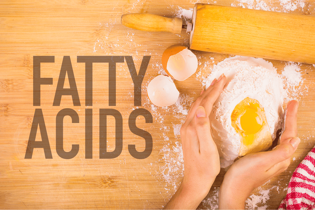 A bowl of healthy fats for dogs, eggs, and cooking ingredients on a wooden countertop.