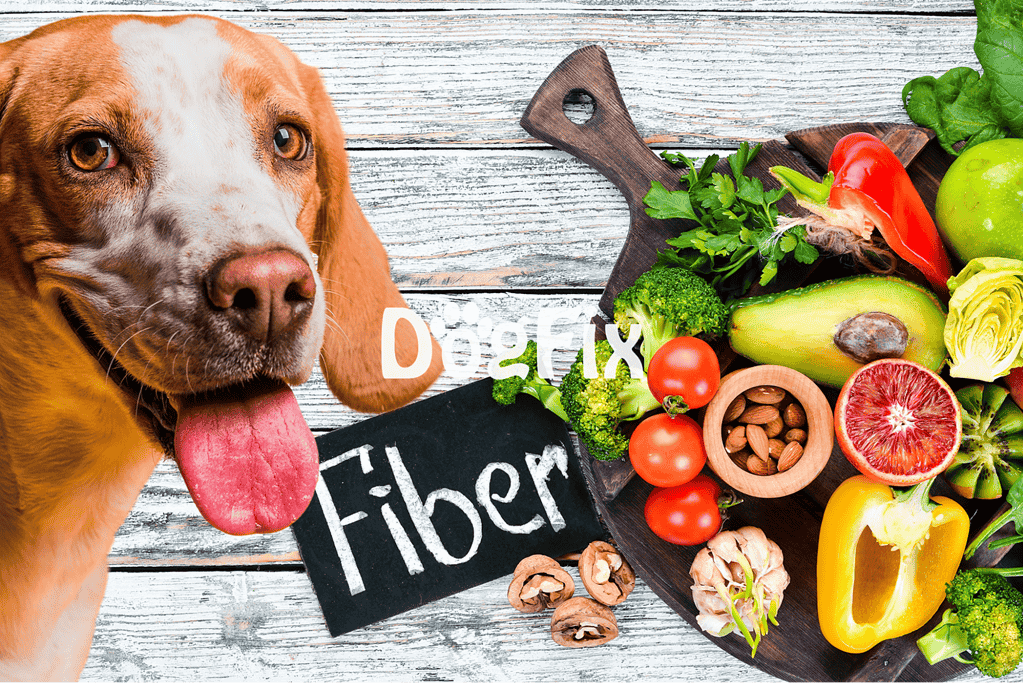 Fiber