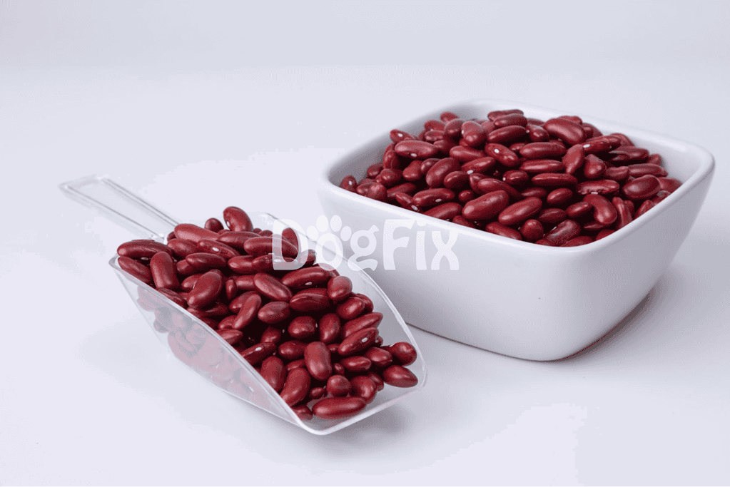 High-quality red kidney beans in bowls for dog nutrition, safe and healthy for pups.