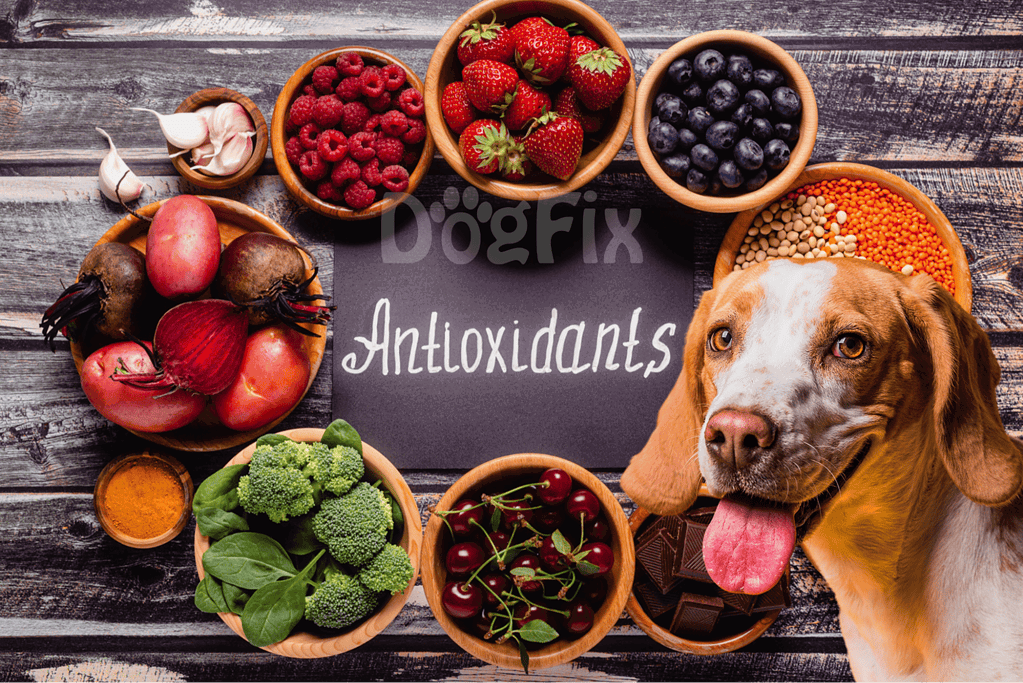 Phytochemicals and Antioxidants
