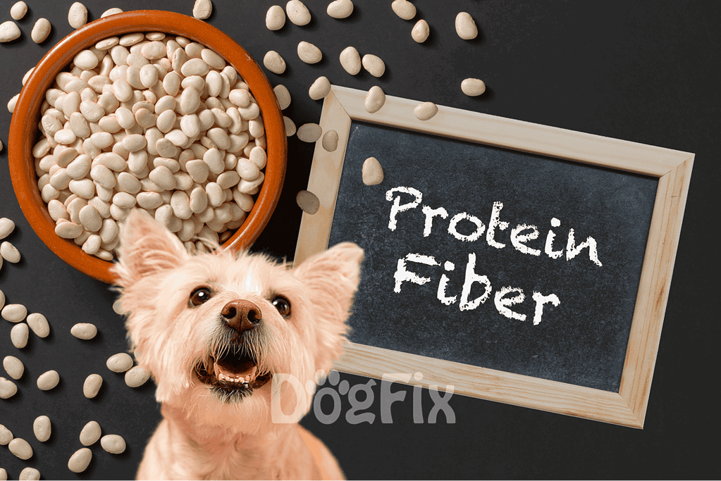 High-protein fiber dog treat with natural ingredients for health and digestion.
