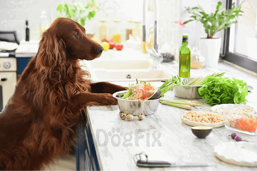 Healthy dog meal with fresh vegetables and nutritious ingredients on kitchen counter.