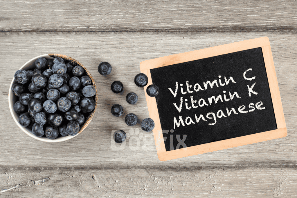 Blueberries rich in vitamins C, K, manganese, antioxidants, and fiber for dogs.