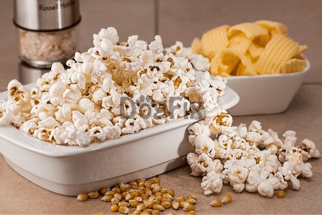 What's the Deal with Kettle Corn and Dogs