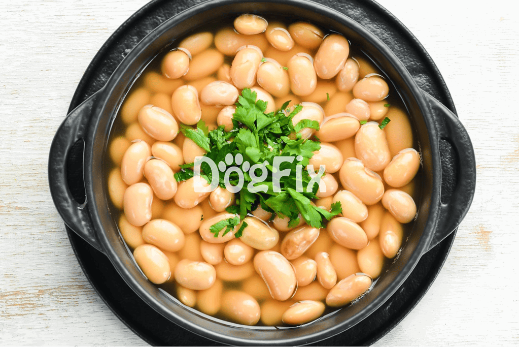 Healthy cooked beans dish with fresh herbs, ideal for nutritious pet meals.