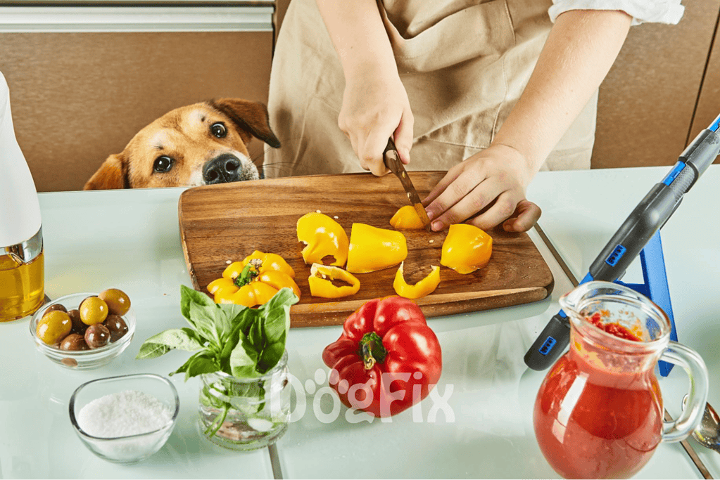 Close-up of a person chopping yellow peppers for dog food, with a curious dog watching attentively.