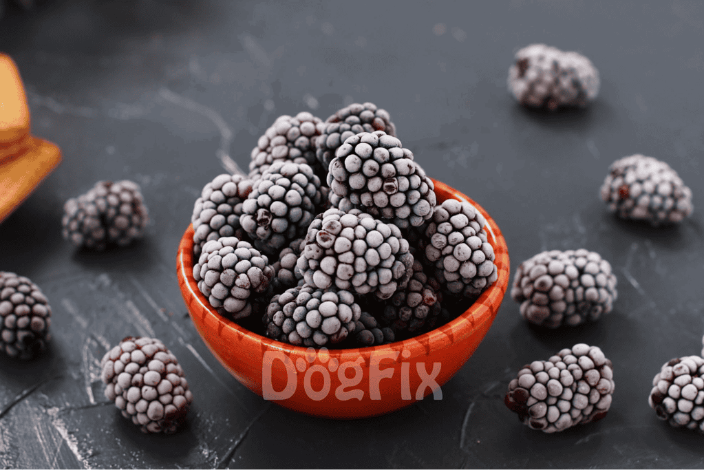 Fresh blackberries in a red bowl with scattered berries around, perfect for healthy treats and recipes.