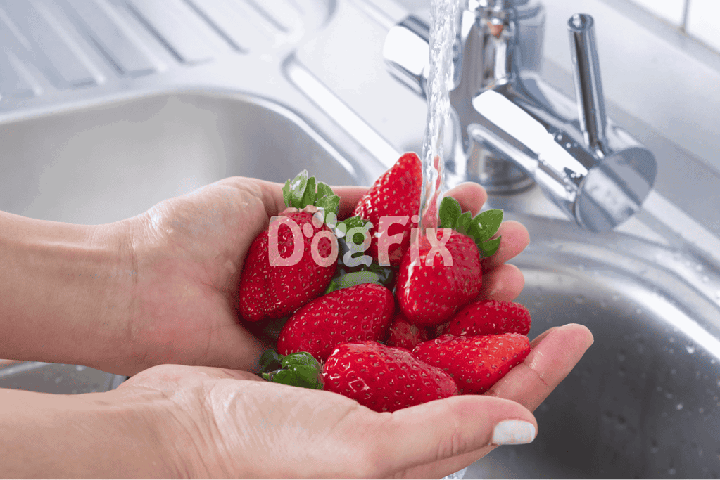 Close-up of hands washing fresh strawberries under running water in a kitchen sink.