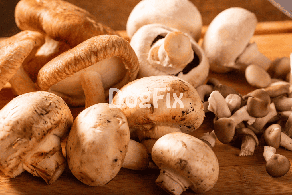 Close-up of assorted fresh mushrooms on wooden surface for healthy dog diet.