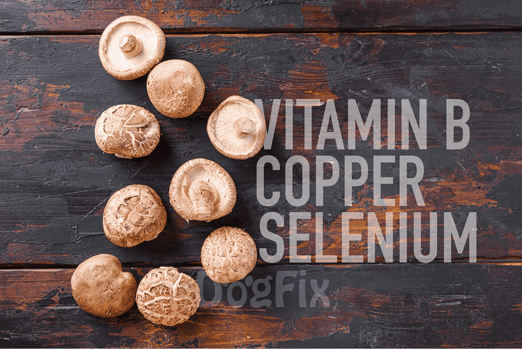 Fresh mushrooms on dark wooden background, emphasizing natural sources of Vitamin B, Copper, and Selenium.