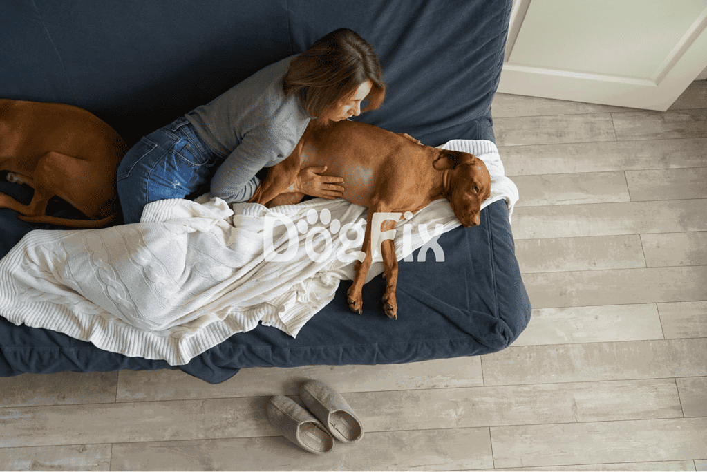Dog snuggling with owner on cozy pet sofa.