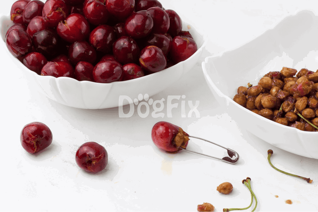 Healthy cherries and snack ingredients for dogs from Dogfix.com.
