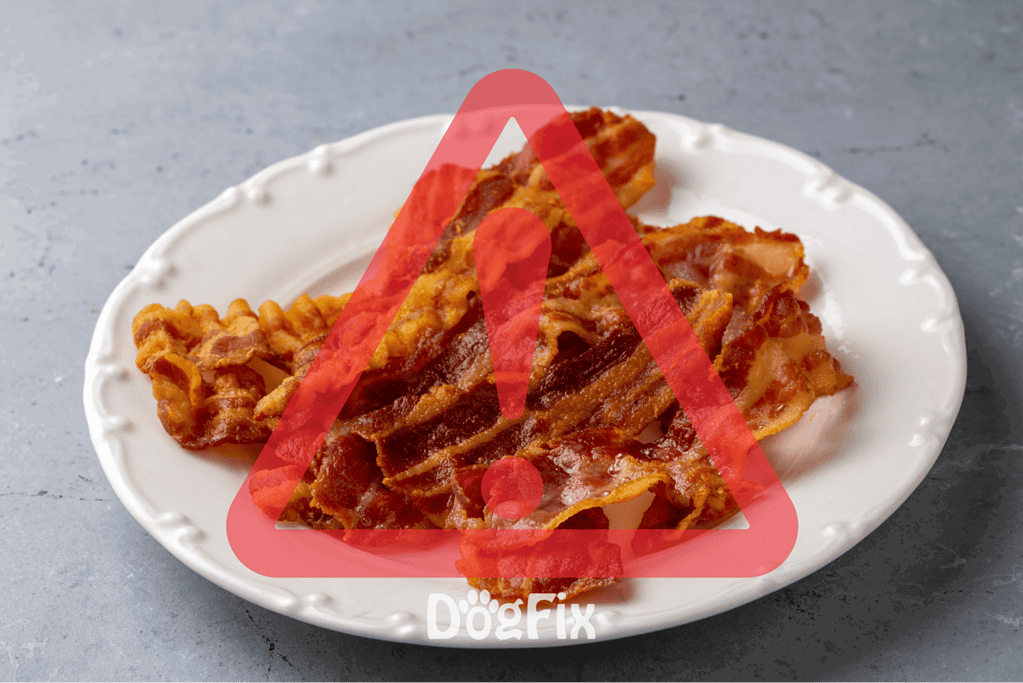 Close-up of bacon on a white plate with a red warning overlay, indicating potential hazards of feeding bacon to dogs.
