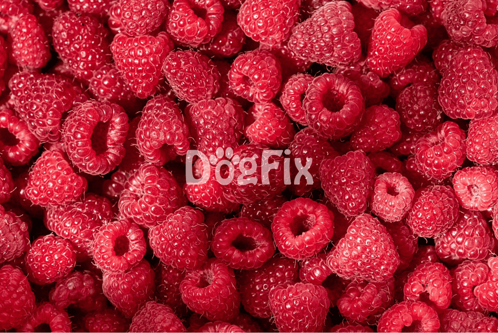 Fresh red raspberries, healthy treats for dogs, promote canine health and wellness.