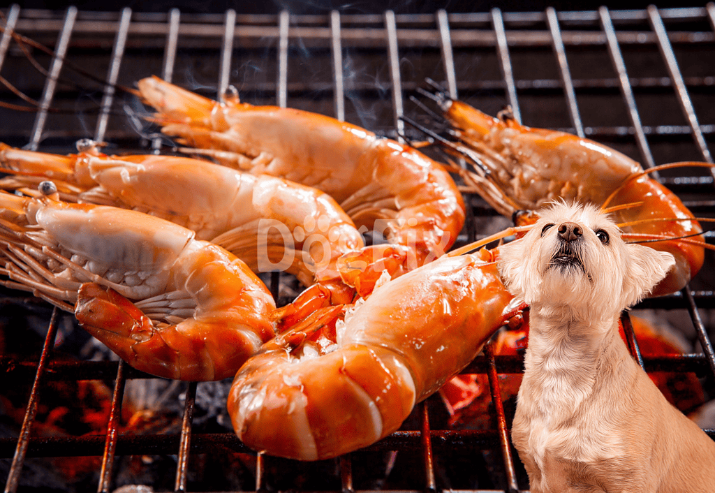 Delicious grilled shrimp cooking on outdoor barbeque grill with adorable dog looking up.