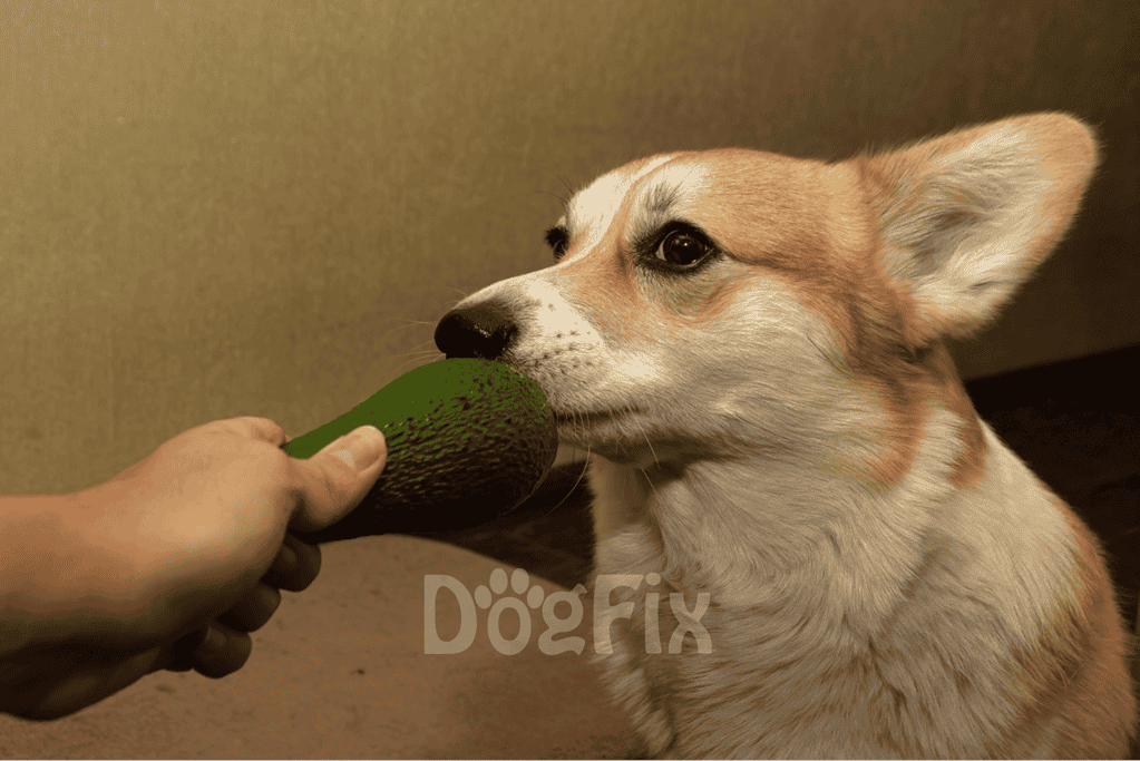 Close-up of a dog sniffing and eating a fresh avocado for natural pet nutrition.