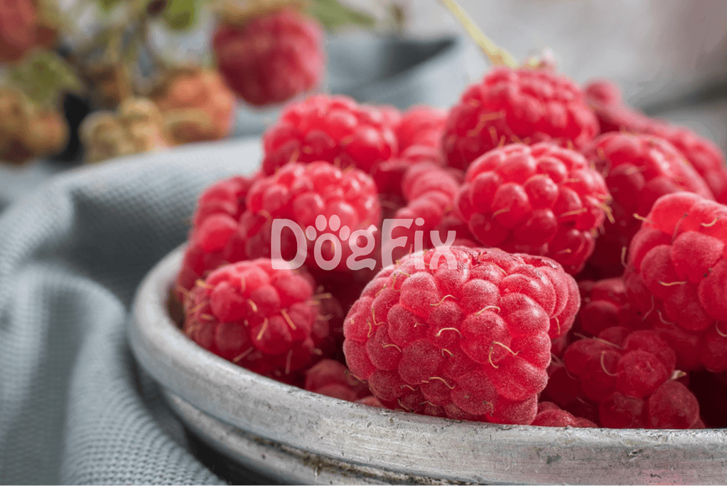 Close-up of ripe, vibrant raspberries in a rustic bowl, ideal for nutritious dog treats.