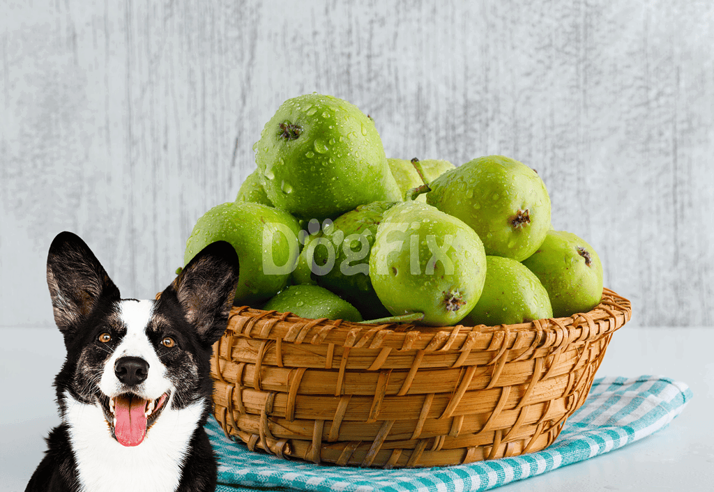 Bright green apples with water droplets in a woven basket, ideal for healthy dog treat options.
