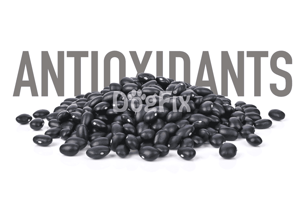 High-quality black beans, natural antioxidants, and fiber for dogs.