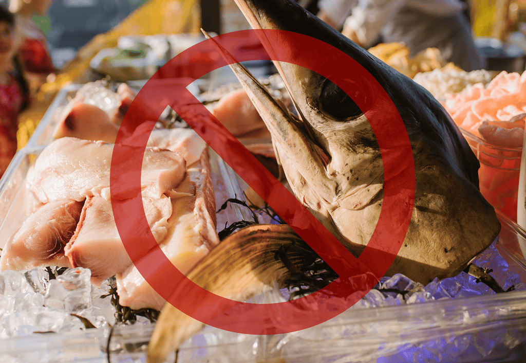 Fresh tuna fish at market, not suitable for pet consumption, check pet-safe food options.