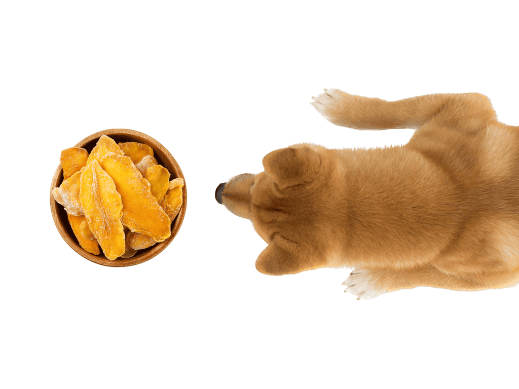 Healthy sweet potato dog treats on white background.