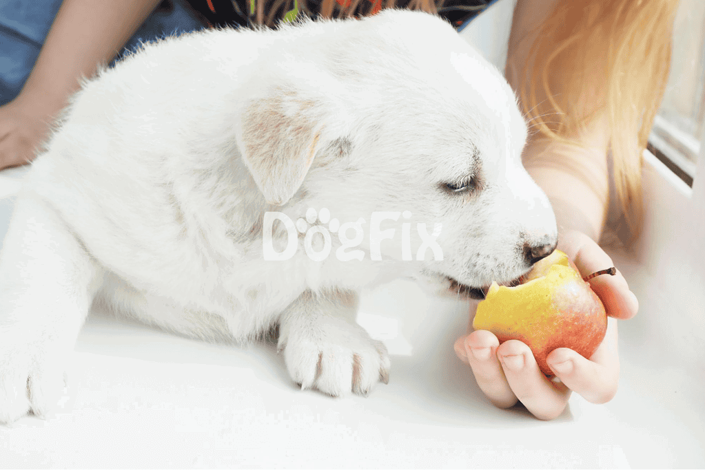 Adorable white puppy enjoying a fresh apple, promoting healthy dog nutrition and wellness.