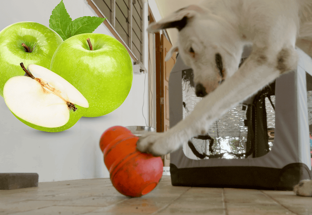 Close-up of fresh green apples, one sliced, with a playful puppy grabbing a toy on the floor.