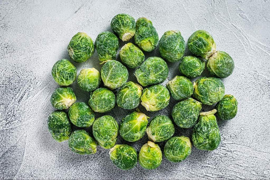 Fresh Brussels sprouts, a nutritious vegetable for dogs, rich in vitamins and antioxidants for a healthy diet.