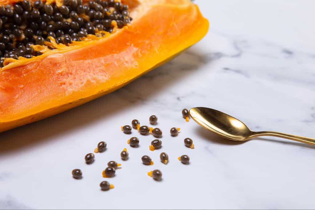 Papaya fruit sliced with black seeds on white marble surface, organic superfood for pets.