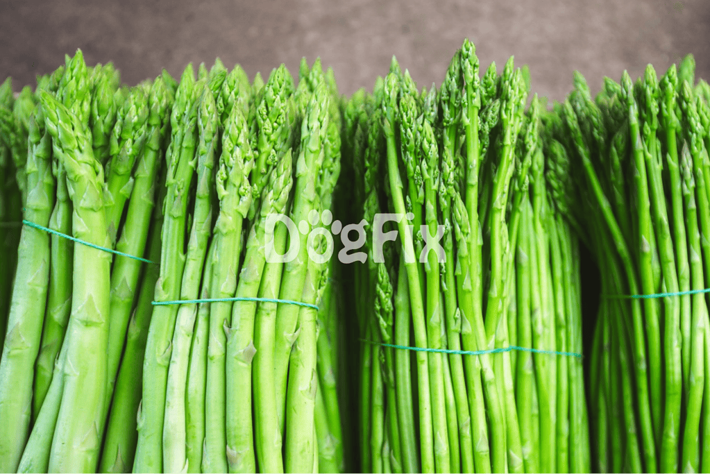 Bright green asparagus bundles ready for cooking and healthy recipes. Ideal for nutritious meals and vegetable dishes.