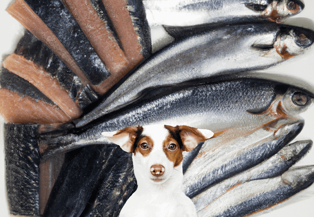 High-quality, fresh fish for healthy dog diets.