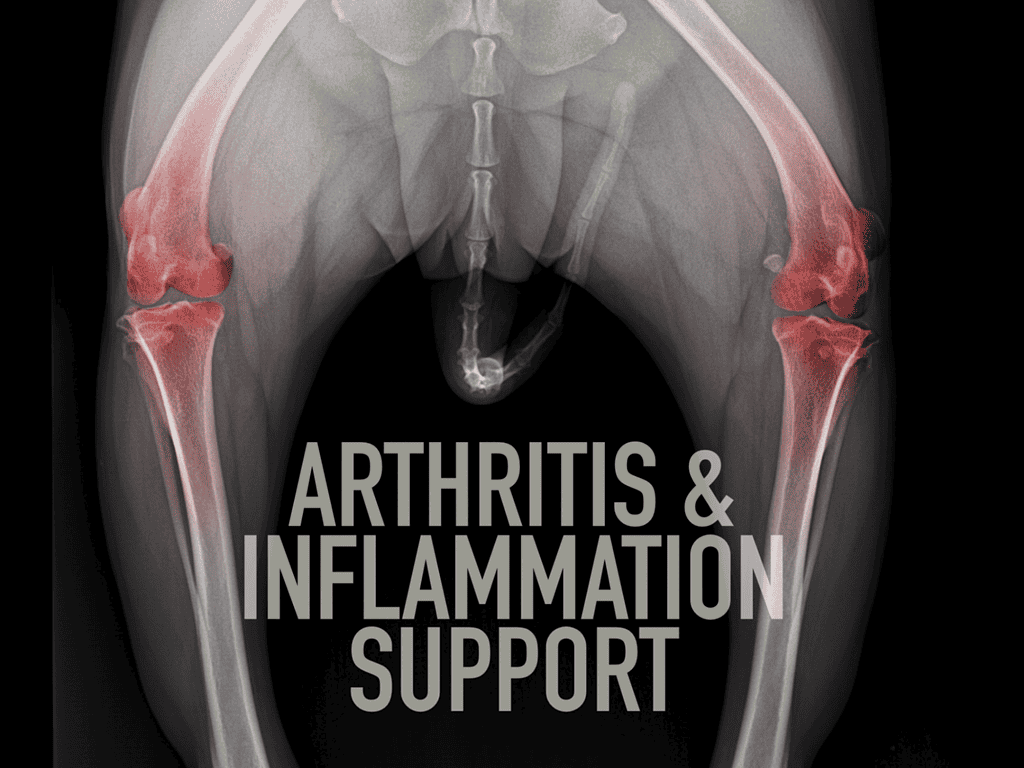 Dog arthritis inflammation relief, veterinary canine joint health, pet inflammation support.