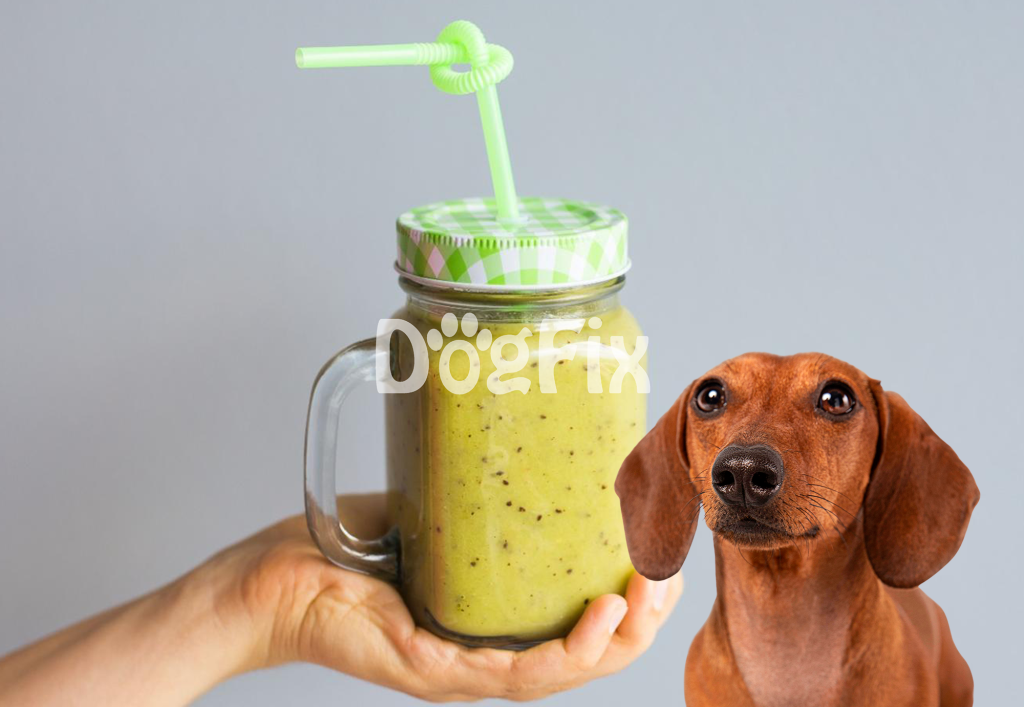 Healthy dog smoothie with fresh ingredients, perfect hydration and nutrition for pets.