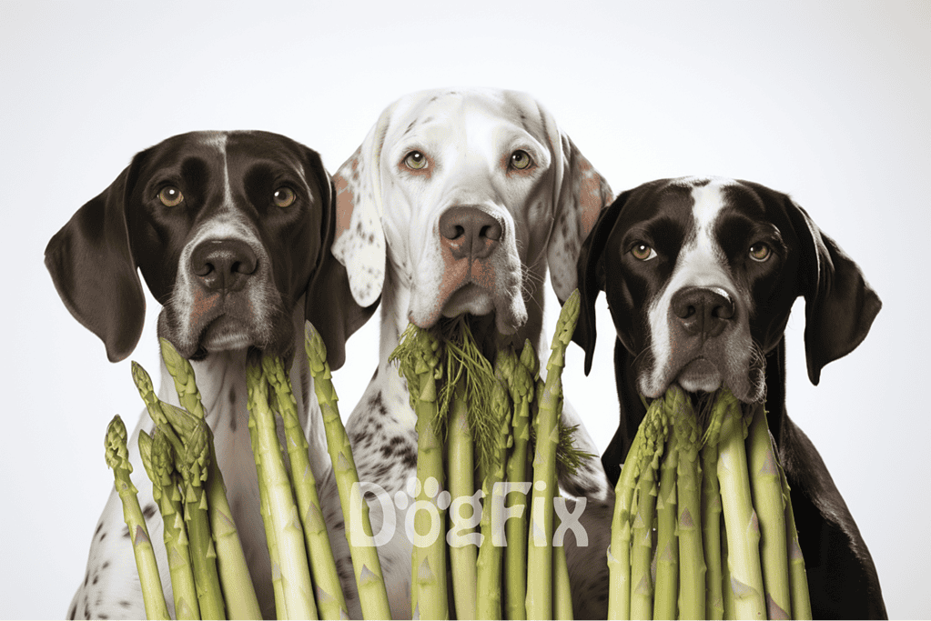 Dogs holding fresh asparagus for healthy eating, highlighting pet nutrition and wellness.