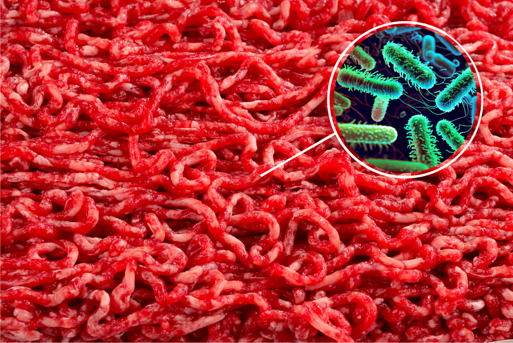 Close-up of raw ground beef with bacteria magnified in inset for food safety.