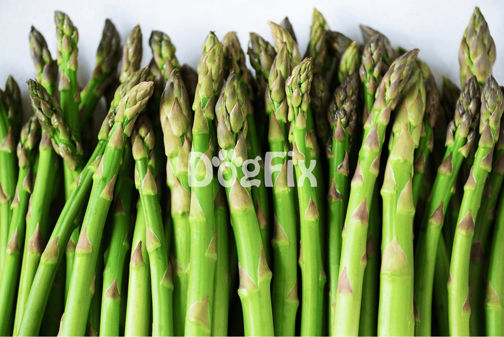 Close-up of fresh green asparagus spears, vibrant and crisp, ideal for healthy meals and recipes.