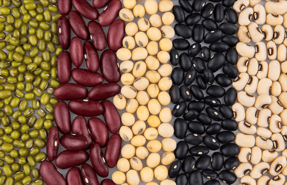 Colorful assortment of beans including black, kidney, soy, and chickpeas, ideal for nutritious dog food recipes.