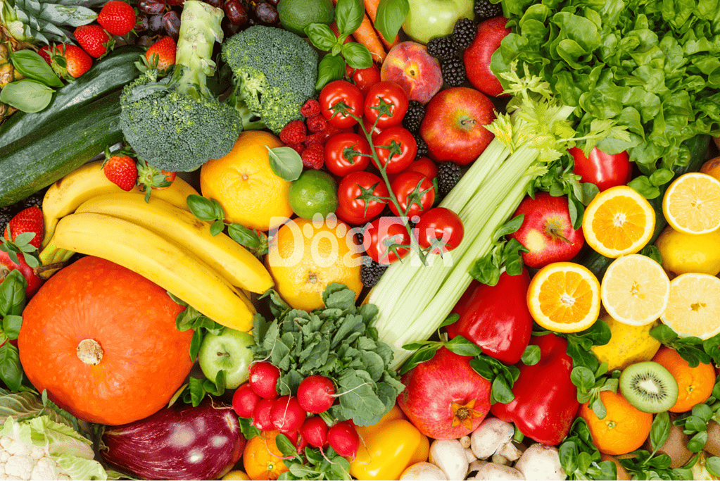 Healthy fresh produce including berries, citrus, tomatoes, and greens for dog-friendly nutrition.