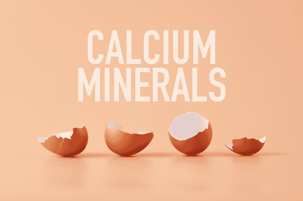 Eggshells showcasing calcium and mineral source for dog nutrition and health supplements.