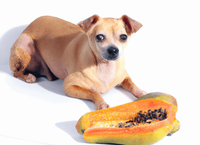 Dog enjoying papaya, healthy pet treat for dogs, natural dog nutrition.